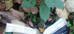 Знайшли місце: львівська поліція затримала біля дитсадка чотирьох наркоманів