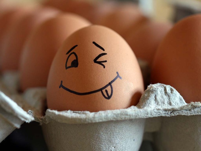 Новость - Досуг и еда - В Днепре резко подешевеют яйца: узнай, почему
