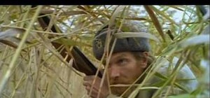 Борозды не испортит: киевлянин случайно подстрелил элитного жеребца