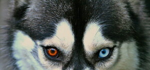 Смотри программу: на выходных в Харькове пройдет Winter Fest