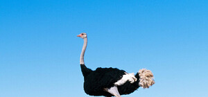 Вылупились: в зоопарке 