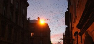 Дізнайся: де у Львові не буде світла у лютому-березні