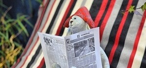 Киев до полудня: что пишут и говорят о городе утром 23 февраля