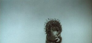 Вечерняя прогулка: в Днепре полицейские помогли парню, который не смог назвать собственное имя