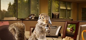 Онлайн: харьковчанам теперь проще оформить прописку