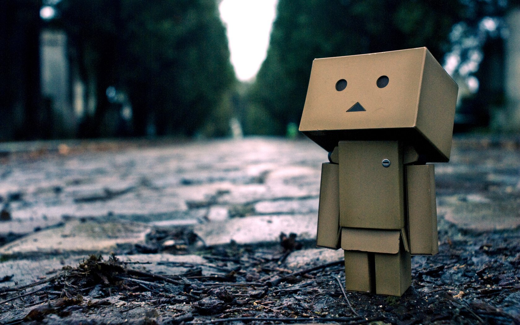 Фото: pixabay.com