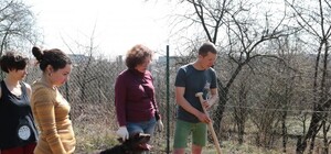 Щось новеньке: у парку 