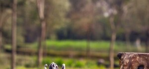 Прощай, депрессия: киевляне займутся гимнастикой с министром здравоохранения Украины