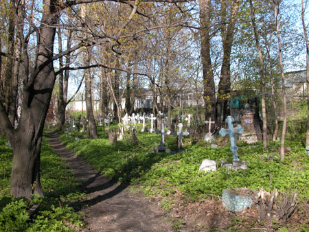 Кладбища пересчитают и обустроят. Фото с сайта enlight.ru