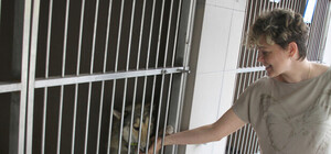 Долучайся: у Львові усиновлюють собак і котів