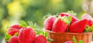 Фруктовий фестиваль: львів’ян запрошують на свято полуниці