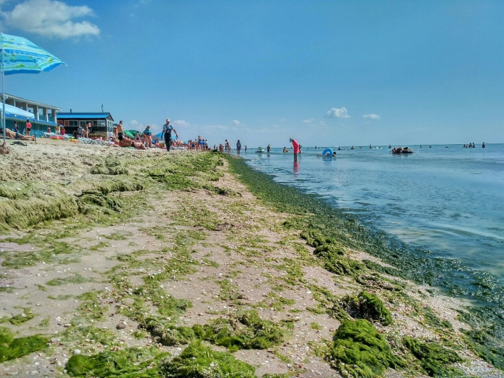 Новость - Общество - Что с пляжами: состояние курортных зон Азовского моря пугает отдыхающих