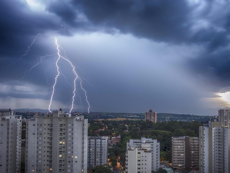 Фото: shutterstock.com