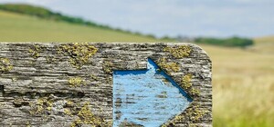 Получи ответ: законно ли в Запорожье рекламировать перевозчиков в Россию