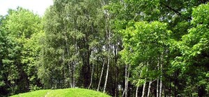 Дізнайся: як облаштують Скнилівський парк