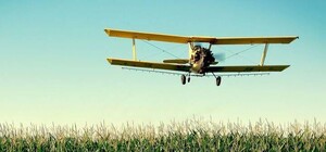 Необычное путешествие: в Запорожье 