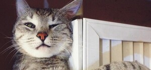 Офіційно: Синютка підписав розпорядження про початок опалювального сезону