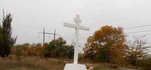 Запорожский Хатико: пес сутками сидит у памятника и ждет хозяина