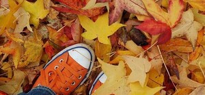 Некогда скучать: лучшие события выходных в Харькове (18 – 19 ноября)