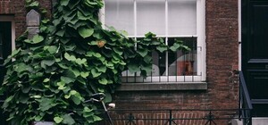 Собирай документы: в Украине снова заработала программа 