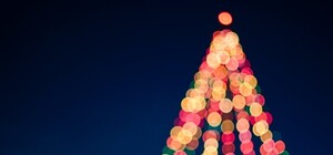 Стало известно, кто выступит на концерте 19 декабря в честь открытия елки и фестиваля