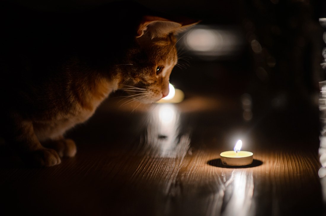 Новость - Коммуналка - Готовь свечи и фонарики: в четырех районах Днепра отключат электроэнергию
