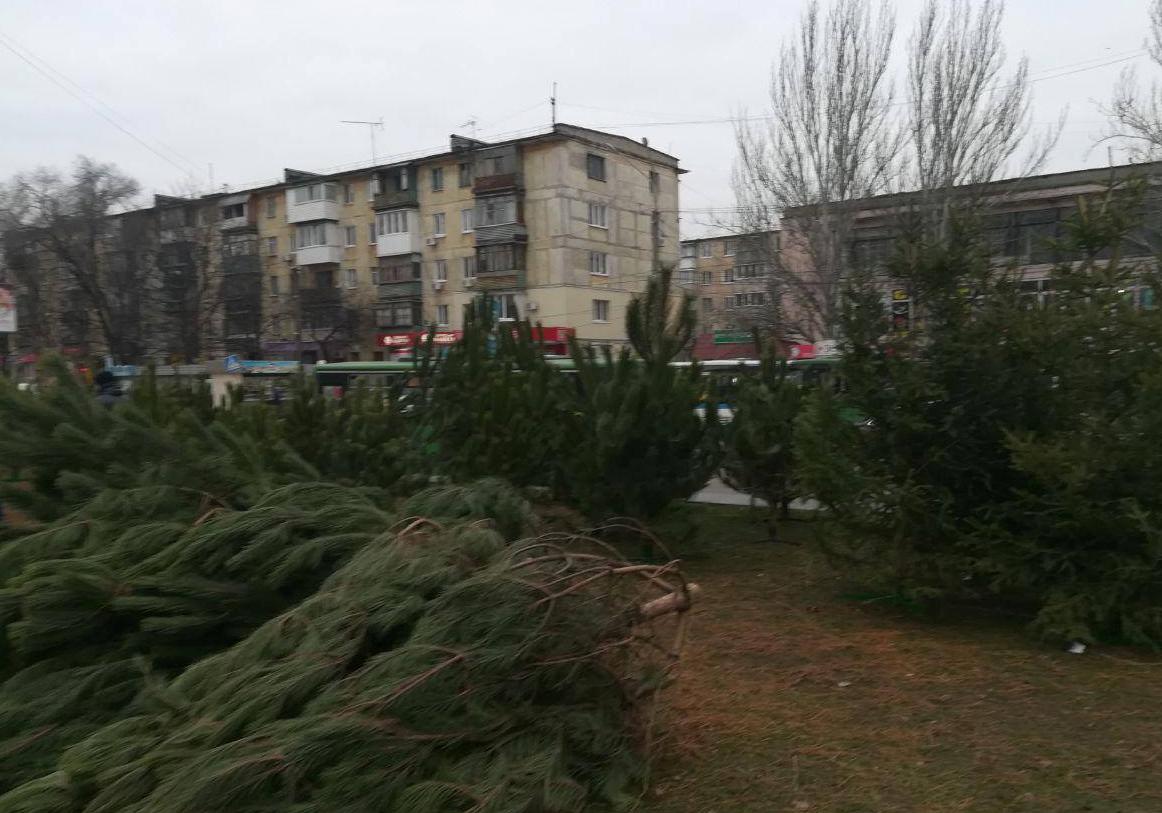 фото: патрульная полиция