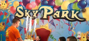 В одесском развлекательном комплексе ребенок сломал позвоночник