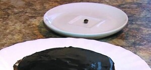 Десерт для мурашки: у Львові встановили солодкий рекорд