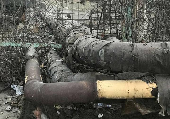 все фото: Ольга Николенко