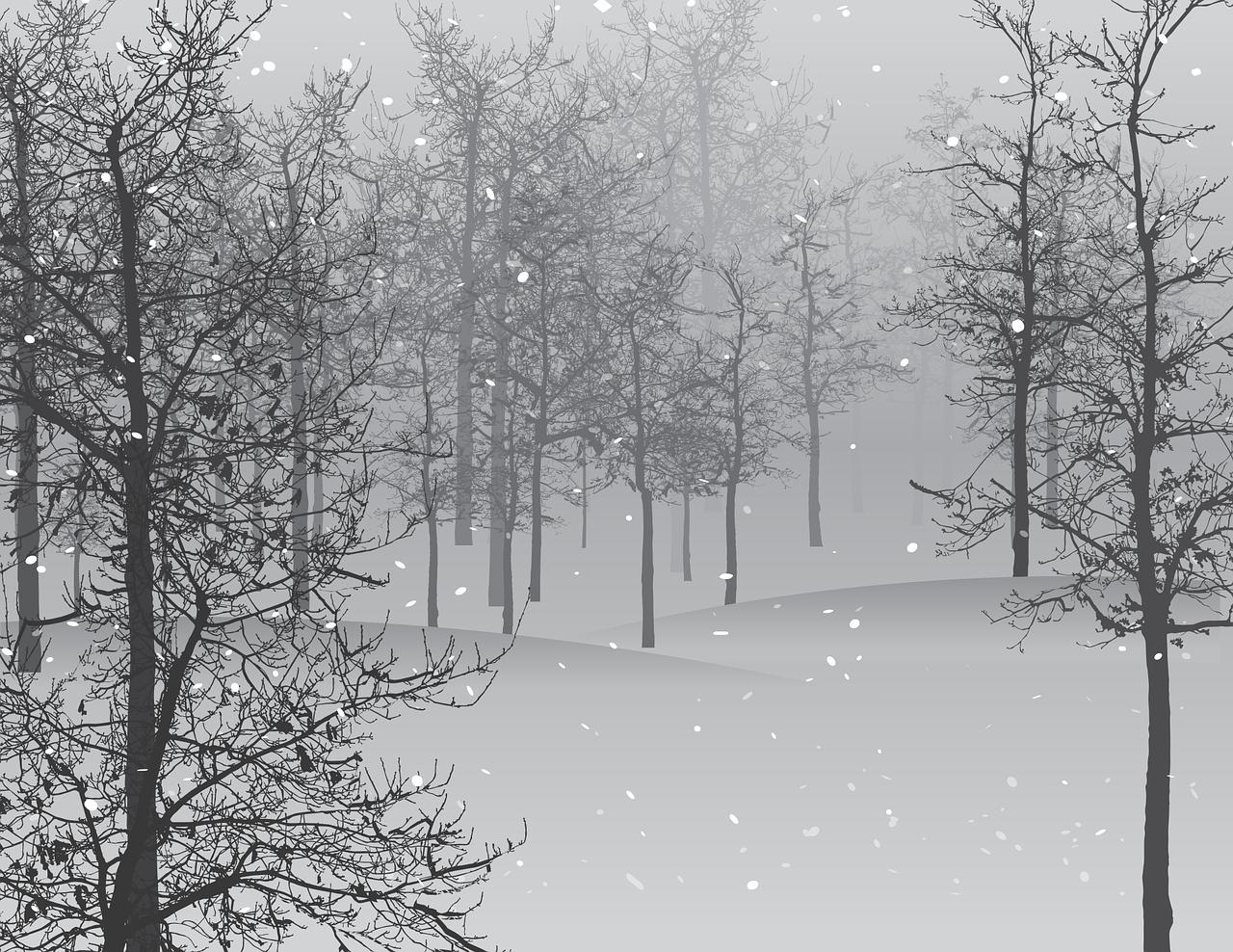 pixabay.com