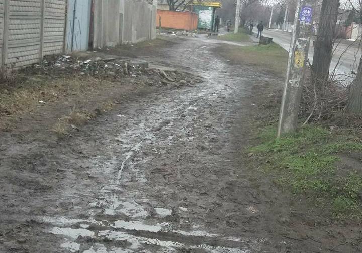 фото: Кирилл Ващенко