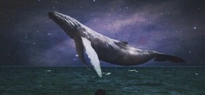 Пятиклассник-самоубийца увлекался игрой 