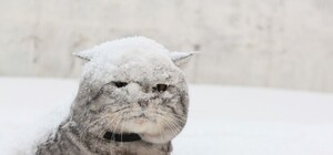 Получи ответ: когда в Днепре потеплеет