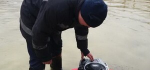 Без шуток: в Харькове из-за таяния снега подтопило частные дома