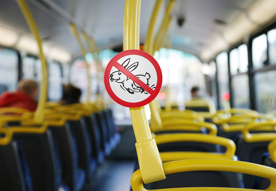 Новость - События - Не будь наивным: как днепрян обманывают в городском транспорте
