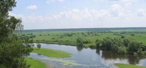 Суши весла: паводок на Полтавщине начал спадать