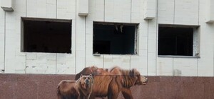 Вандалы, разрисовавшие граффити в Припяти, попали в объектив камеры на Андреевском спуске