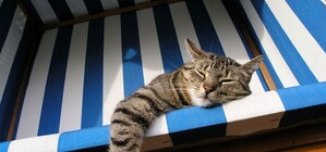 Куда поехать в Днепре, если все осточертело и хочется отдохнуть