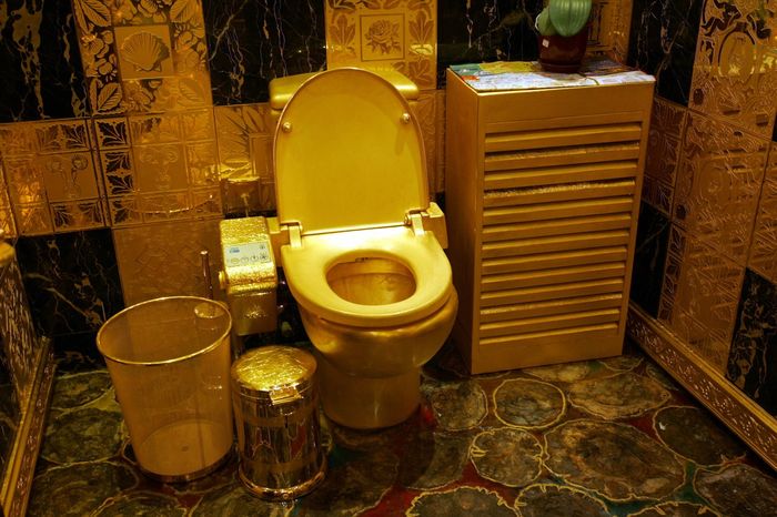 Новость - Досуг и еда - Ты удивишься: как выглядит самый дорогой туалет в Днепре