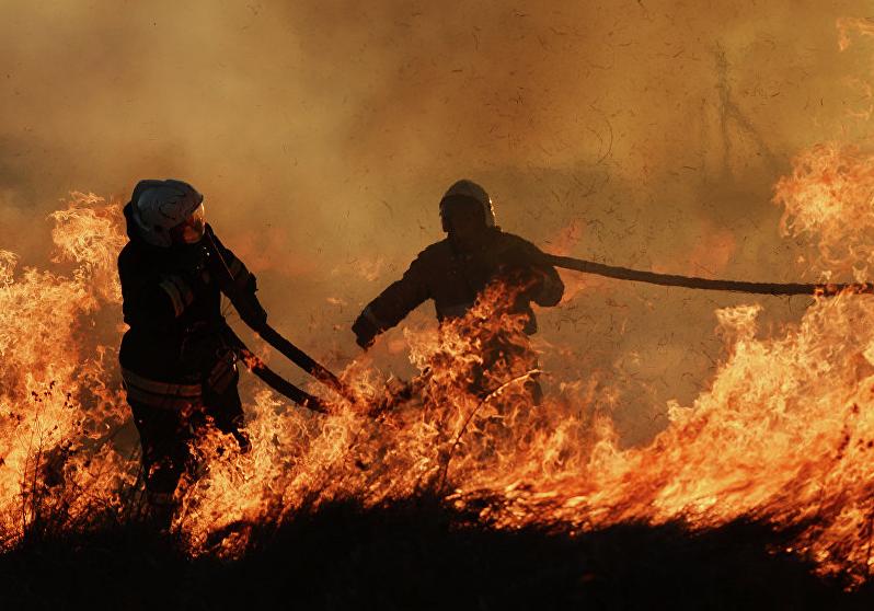 Новость - События - На шашлыки лучше не ехать: в Днепре и области объявили высокую пожарную опасность