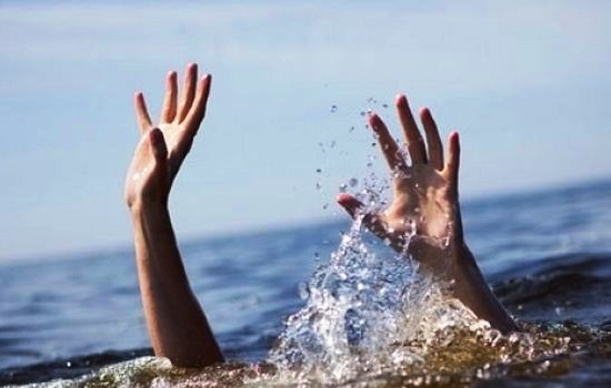 Новость - События - Поможем всем: спасатели достали из воды тонущего мужчину, а с деревьев - двух котов