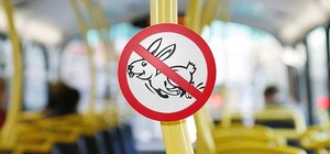 Ваш талончик: в Крыму откроют 