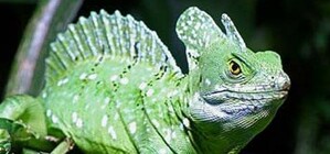 Экзотариум в парке им. Глобы