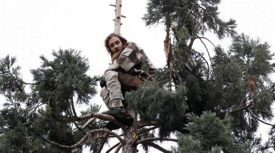 Новость - События - Чудом выжил: в Павлограде парень выпал с балкона и застрял на дереве