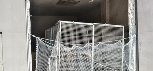 Скандал: в Одесском цирке мучают краснокнижных медведей