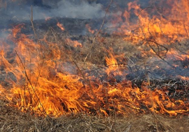 Новость - События - Следи за огнем: в ГСЧС предупредили днепрян о чрезвычайной пожарной опасности