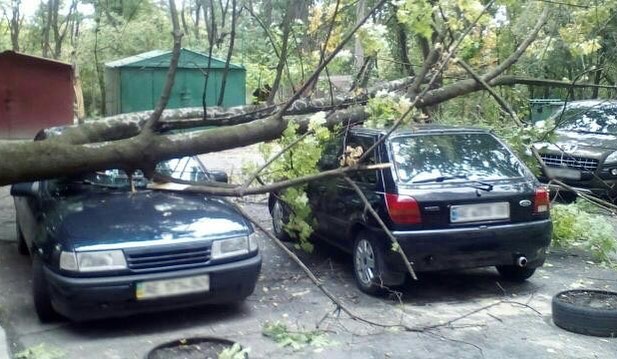 На Тополе дерево упало на авто. фото: @News_Dnepr