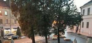 Виходь на прогулянку: на вулиці Бандери облаштували громадський простір