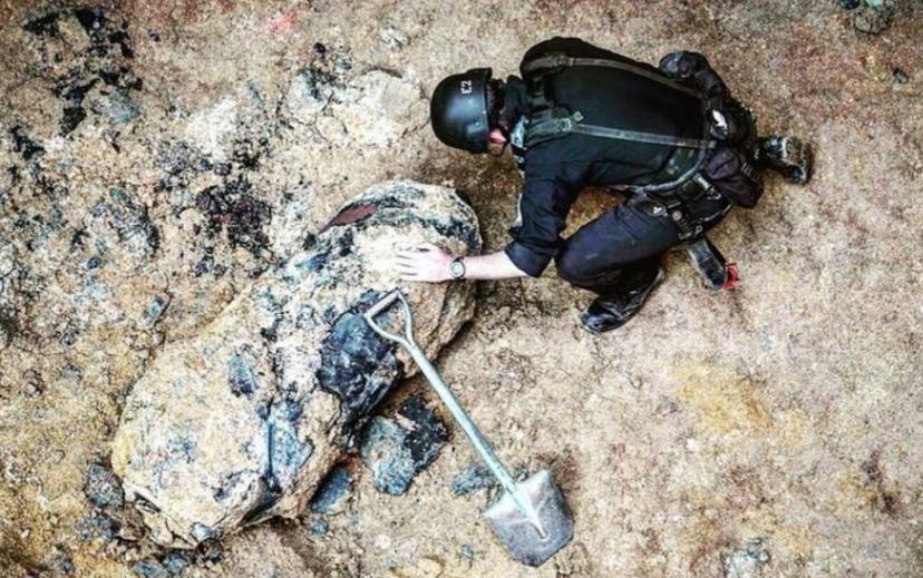 Новость - События - Ну и сюрприз: под Днепром фермер случайно раскопал 100-килограммовую бомбу